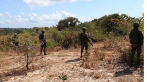 Ingabo z'u Rwanda ziri gutenguhwa n'iza Mozambike mu rugamba rwo guhashya ibyihebe muri Cabo Delgado 