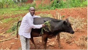 Abacitse ku icumu bafite ihungabana bakwiye kwitabwaho byihariye:ubutumwa bw'imiryango ibarengera