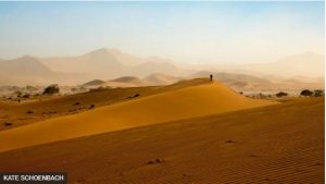 Ibisa n'amayobera mu butayu bumaze imyaka myinshi kurusha ubundi bwose ku isi