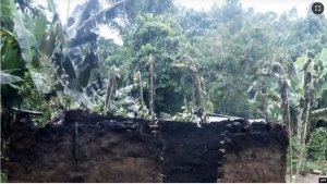 ADF yishe Abantu 11 Mu Ntara ya Ituri Muri Kongo nyuma yo kwica bandi Uganda