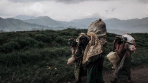 RDC:Ibihumbi by'abaturage byahunze kubera gusubiranamo kw'imitwe ya APCLS na Nyatura