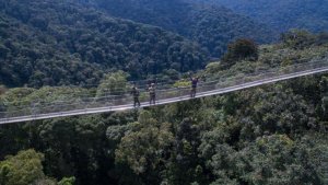 Ni uwuhe mwihariko wa Parike ya Nyungwe watumye ishyirwa mu murage w'isi