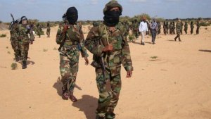 Abarwanyi ba Al-Shabab bafashe indege ya UN n'abayirimo
