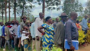 Ingengabihe yuzuye y'amatora yatangajwe mu Rwanda