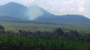 Rubavu: Abagizi ba nabi baturutse muri RDC bica umunyarwanda wari uragiye ihene