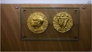 Ibihembo cyitiriwe Nobel 2024 Cyahawe babiri bakora mu buvuzi