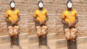 Umuturage wa Nyamasheke afunzwe azira kwiba inkoko no gukoresha urumogi