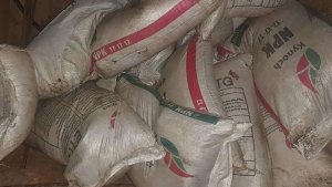 Polisi yafashe ibiro 500 by'ifumbire mvaruganda yari igiye kugurishwa magendu hanze y'igihugu