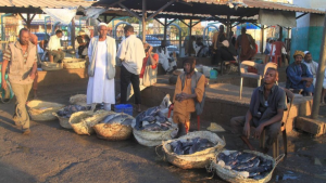 Sudani: Ibitero bya drone byahitanye abantu 33