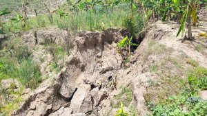 Muhanga: Hagiye gusiburwa inzira z'amazi yangizaga imyaka y'abaturage