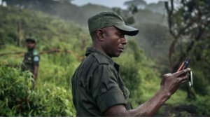 Abarinzi ba Parike Biciwe mu Burasirazuba bwa Kongo n'abantu batazwi