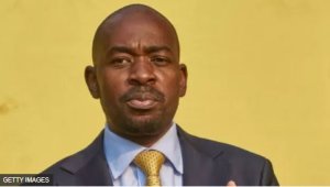 Zimbabwe: Chamisa utavuga rumwe n'ubutegetsi yashinje Perezida Emmerson kwiba amatora