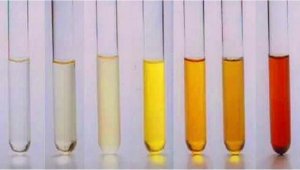 Icyo ibara ry'inkari risobanuye ku mikorere y'umubiri w'umuntu n'igihe ukwiriye kujya kwa muganga