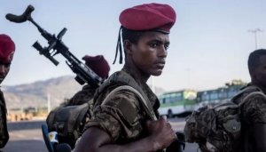 Ethiopia yarekuye abakuru b'inyeshyamba mu mbabazi rusange