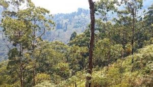 Burundi: Habonetse imirambo y'abasirikare bambaye nka FARDC