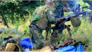 DR Congo: Inyeshyamba zishe zitemaguye abaturage 14