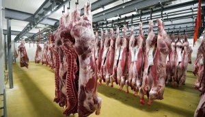 U Rwanda rwatije ikigo cyo muri Brasil ubutaka bwo gukoreraho uruganda rw'inyama z'inka