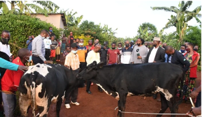 Ngoma: Uwarokotse Jenoside yakorewe Abatutsi watemewe inka yashumbushijwe(AMAFOTO)