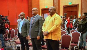 AFC yakoze impinduka mu buyobozi zigamije gutsinda Tshisekedi