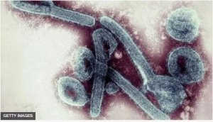 MINISANTE yemeje ko Virusi ya Marburg ijya gusa na Ebola yageze mu Rwanda 