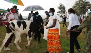 Nyamasheke: Umugore yahawe inka nyuma yo gushyira mu kato umugabo we bigatuma umuryango we utandura Covid-19