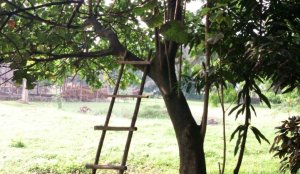 Rubavu: Umusore yiyahuye asiga yanditse ubutumwa butangaje