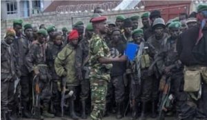 FARDC n'Ingabo z'u Burundi batangiye imyiteguro yo kugaba ibitero karahabutaka kuri M23