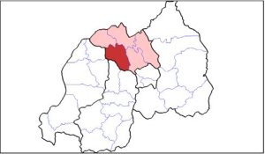 Gakenke: Bashobora gusubira kukurarana n'amatungo yabo kuo ari kwibwa bikabije