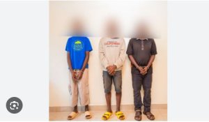 Abacyekwaho kwiba inka 17 muri 25 zibwe Polisi yabafashe