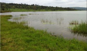 Polisi y'u Rwanda yavuze ku murobyi w'Umurundi Ndagijimana Sylvestre warashwe