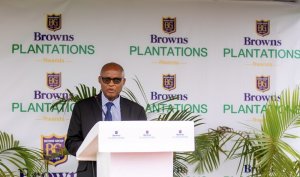 Nyaruguru: Minisitiri w'ubuhinzi yasabye abahinzi kongera imbaraga mu buhinzi bw'icyayi mu gihe inganda zigitunganya zikomeje kwiyongera