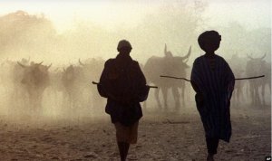 Mali: mu cyaro cya Mopti Abantu 21 bahitaywe n'agatsiko kitwaje intwaro 