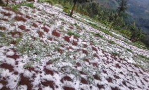 Rusizi: Urubura rudasanzwe rwangije byinshi rusiga na bamwe mu baturage iheruheru