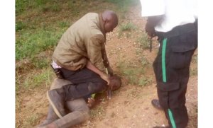 Bugesera: Uwagaragaye yatsikamiye umuturage ari kumunigisha ndembo yafunzwe