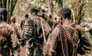 Umwiryane hagati y'ubuyobozi bukuru bwa Wazalendo na FARDC