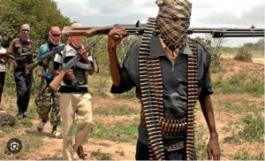 Ibyihebe RDF yagiye guhiga i Cabo Delgado biravugwaho ikoranire na ADF irwanya Uganda