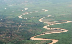 'Hatagize igikorwa u Rwanda rushobora kuba ubutayu'-Minisitiri w'Ibidukikije