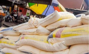 Ifu y'ibigori iherutse kwivugana imbwa 400 muri Zambia yakumiriwe muri RDC