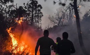 Alijeria: ubushyuhe bukabije bwateje inkongi imaze guhitana 34 barimo n'abasirikare