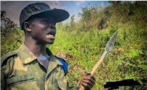 Rubavu: Babiri bakekwa kuba abo mu ngabo za FARDC baje kwiba inka barateshwa