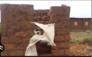 Nyamagabe: Ingo zirenga ibihumbi bitatu zifite ubwiherero bwa nyirarureshwa