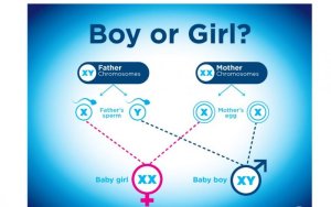 Wari uzi ko wahitamo kubyara umuhungu cyangwa umukobwa igihe ubishakiye?Reba uko wabyitwaramo