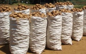 MINAGRI yanyomoje ibivugwa ko ibura ry'imbuto ariryo ryazamuye igiciro cy'Ibirayi