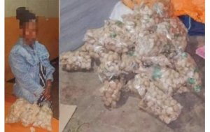 Kamonyi:Babiri bafatanywe udupfunyika 2,400 tw'urumogi