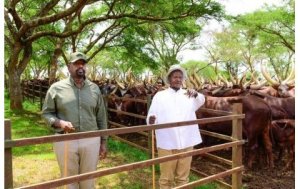Umuhungu wa Museveni yashimangiye ko ‘Muhoozi Project' ari ikinyoma