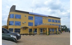 Nyamasheke: Yatawe muri yombi akekwaho kubaga ingurube yibwe