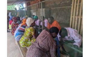 Impamvu RCS yahagaritse kugemurira abagororwa ibiribwa bivuye hanze