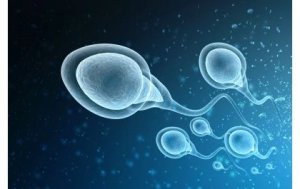 U Bubiligi: Umugabo umwe yabyaye abana barenga 50 ku bagore 39