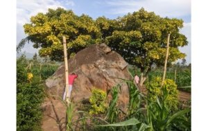 Rusizi: Ubuyobozi bwaburiye abasengera ku ibuye rya Ryankana