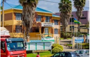 Karongi: Yasanzwe ku muhanda yapfuye, hakekwa ko yagonzwe n'imodoka